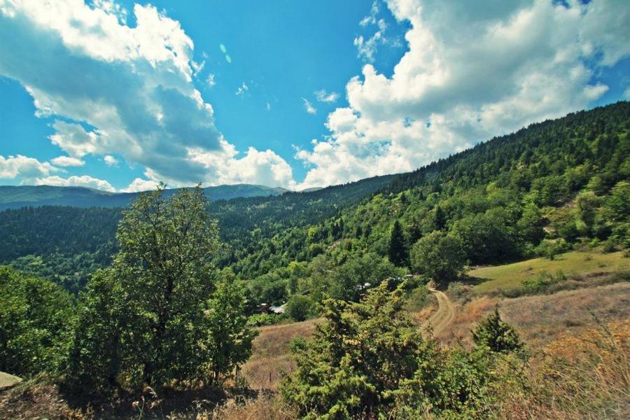 Omilaia Otel Gardiki Dış mekan fotoğraf